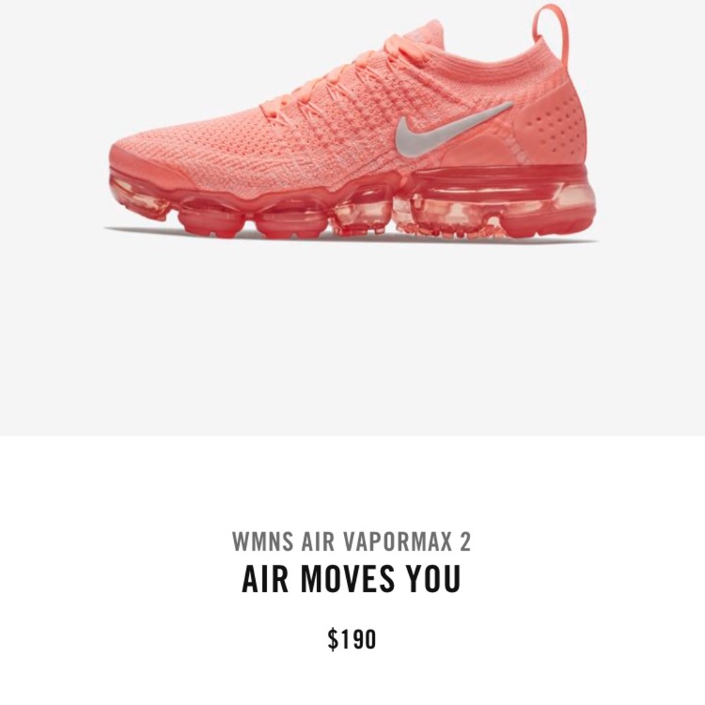 NIke Air VAPORMAX FLYKNIT 2
